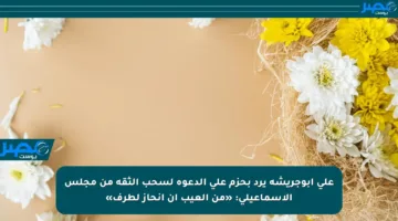 علي أبوجريشة يرد بحزم على الدعوة لسحب الثقة من مجلس الإسماعيلي: «من العيب أن أنحاز لطرف»